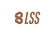 Translation missing: en.BLSS accessibility.home
